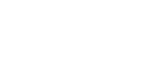 Wellington Pub Co.